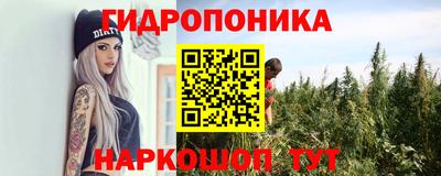 амф Севастополь