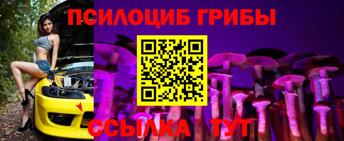 Петропавловск-Камчатский  Галлюциногенные грибы Psilocybine cubensis  Вход с VPN  Галлюциногенные грибы Cubensis 